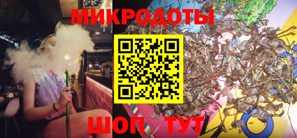 Псилоцибиновые грибы Psilocybine cubensis Красноармейск