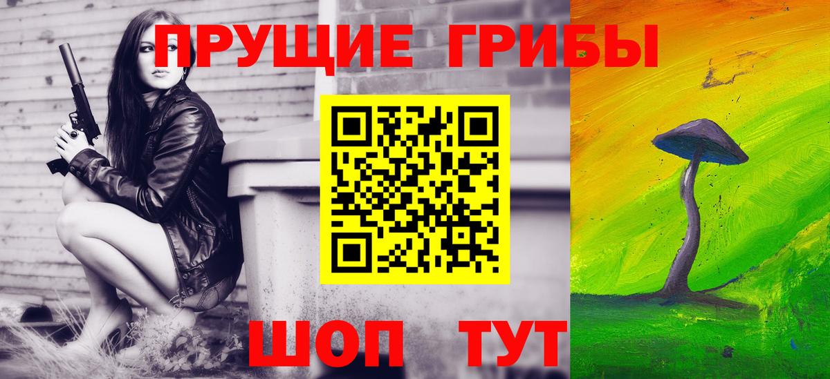 Красноармейск  где продают наркотики  Вход с VPN  Псилоцибиновые грибы Psilocybine cubensis 